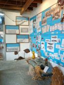 02 museo della pesca